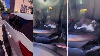 Un momento de distracción fue