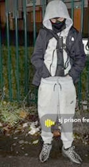 Uno de los menores que