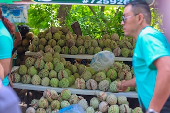 La jornada reunió a la comunidad y a quienes llegaron de fuera del país. Entre degustaciones y puestos comerciales, la fruta marcó el pulso del evento. La programación guardó un cierre musical muy reconocido (Foto cortesía Alcaldía de San Salvador Sur)