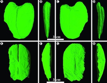 Imagen FEN4GGSNWNFOLK4IZR3ZJAVZZI