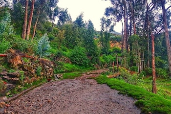 Carhuapaccha, el "Paraíso Escondido" de