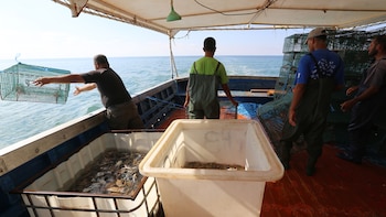 Pescadores en el mar Caribe
Foto: AFP (archivo)