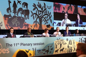 Reunión del plenario de la