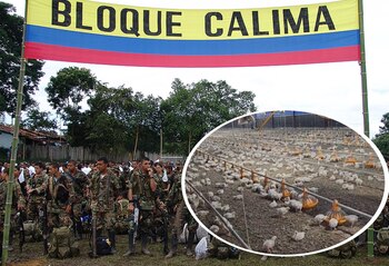 Las secuelas de la presencia