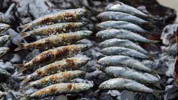 Comer más sardinas y menos