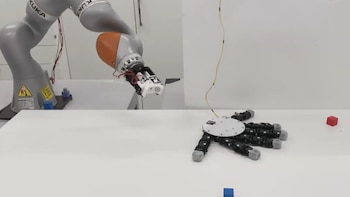 (Nature Communications)