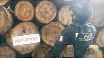 Parte de la madera asegurada en el inmueble. Crédito: SSEM