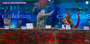 Los participantes tuvieron que elegir