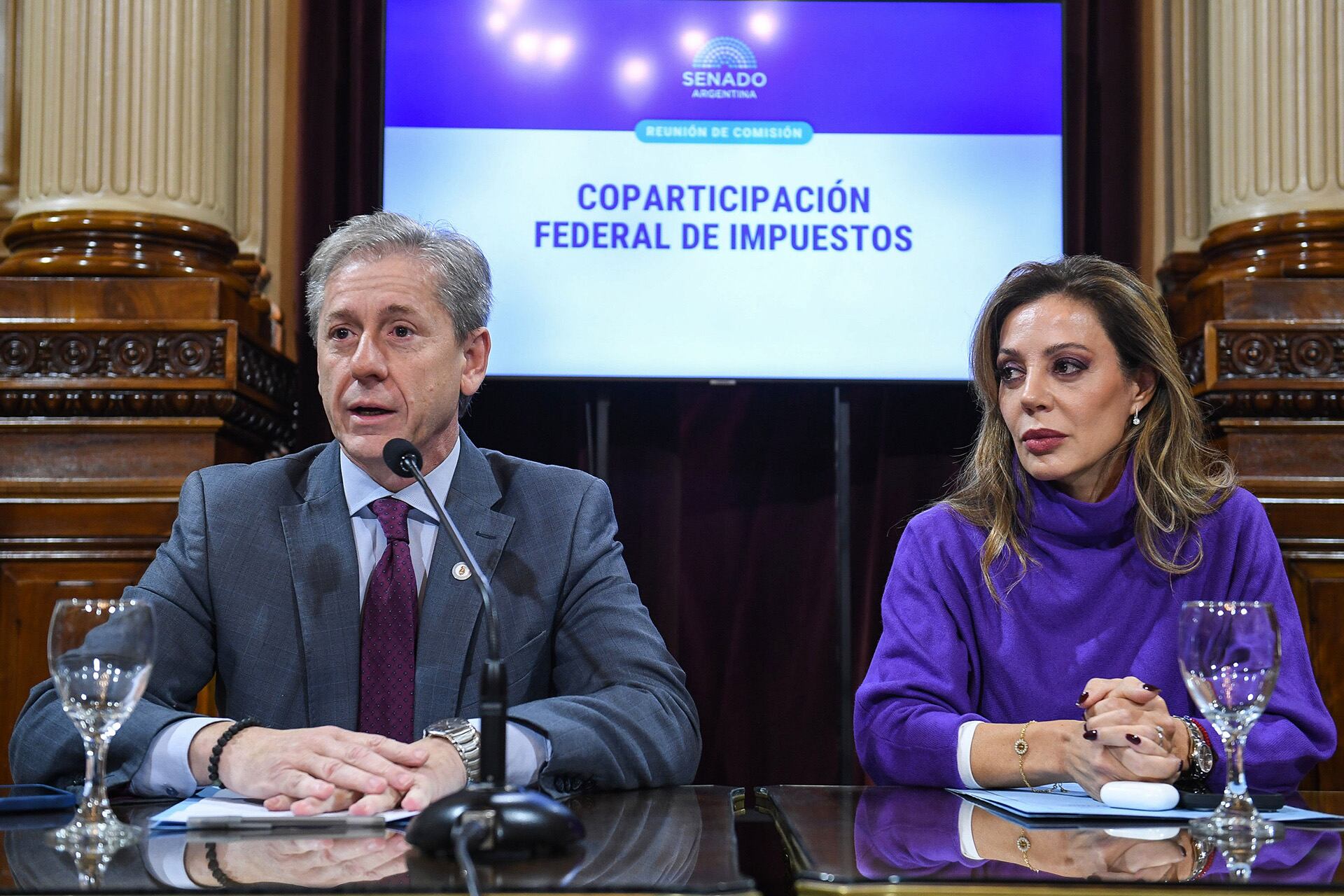 El jefe de la UCR en la Cámara alta y presidente de la comisión de Coparticipación, Eduardo Vischi (Corrientes), junto a la peronista disidente y vice de la misma, la salteña Flavia Royón (Prensa Senado)