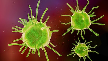 La amebiasis puede tratarse con