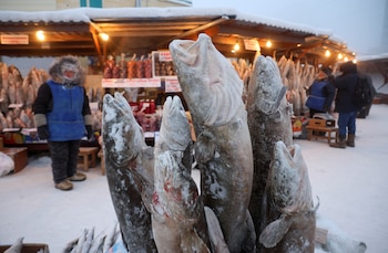 Los pescados se venden en