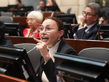 La senadora Patricia Caicedo citó a un debate de control político en el Senado por las deficiencias en el servicio de aseo de Santa Marta - crédito prensa Patricia Caicedo
