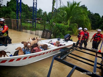 Rescates de zonas vulnerables ante tormentas en Costa Rica