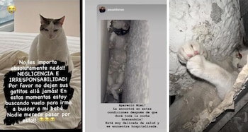 La denunciante se preguntó cómo