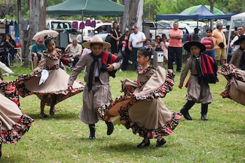 Las peñas folclóricas en Salta mantienen viva la tradición del baile y la música regional (Ministerio de Turismo y Deportes)