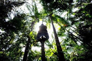 Imagen FFRNVRKYHFABXGY56BTJJ4NEQU