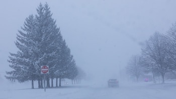 EN VIVO | Canadá enfrenta uno