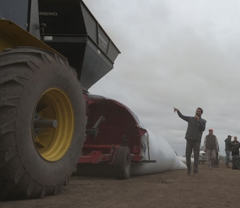 Los precios mejoran fuera del