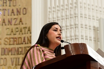 La diputada Luisa Fernanda Ledesma Alpízar hizo un llamado a las autoridades de la Ciudad de México para atender la venta ilegal y posible maltrato animal tras la popularización del Pato Merlín.
