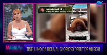 Marcelo Tinelli ignoró debut de
