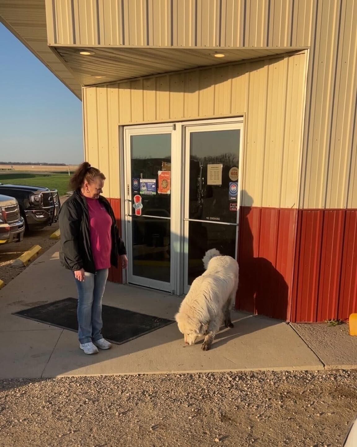 Desde su aventura nocturna, Max recibe todos los días un burrito casero para evitar que vuelva a escaparse.—(Facebook, Amigos de Lucho)