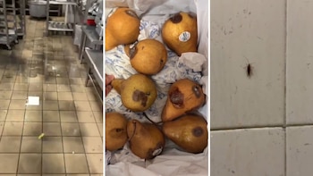 Secretaría de Salud responde a denuncias por cucarachas y alimentos en mal estado en comedor de trabajadores del INP