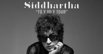 Siddhartha regresa al Palacio de