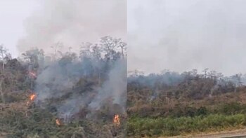 Incendio forestal en comunidad nativa