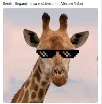 La creatividad de los internautas