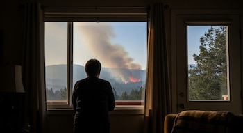 La investigación, publicada en el