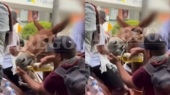 Un asistente intenta forzar a