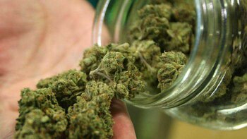 Una tonnellata di marijuana sequestrata