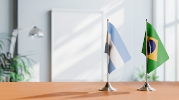 "Entre Argentina y Brasil tenemos mucho para hacer. Estamos muy cerca y muy lejos al mismo tiempo", señala Federico (Imagen: Shutterstock)
