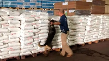 Golpe histórico contra el narcotráfico