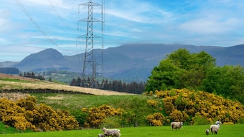 Iberdrola cerró 2025 con una