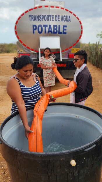 El director general de la