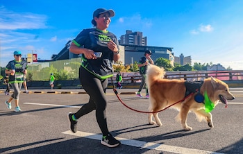 Las mascotas también acompañaron a sus dueños durante los recorridos de We All Run. (Foto cortesía Secretaría de Prensa)