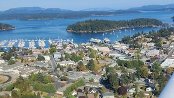 Esta es la historia del