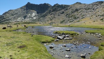 Laguna de los Pájaros, en