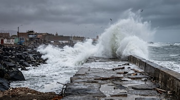Olas altas de agua de mar rompen contra un espigón de piedra en la costa mientras varias aves vuelan bajo un cielo gris.