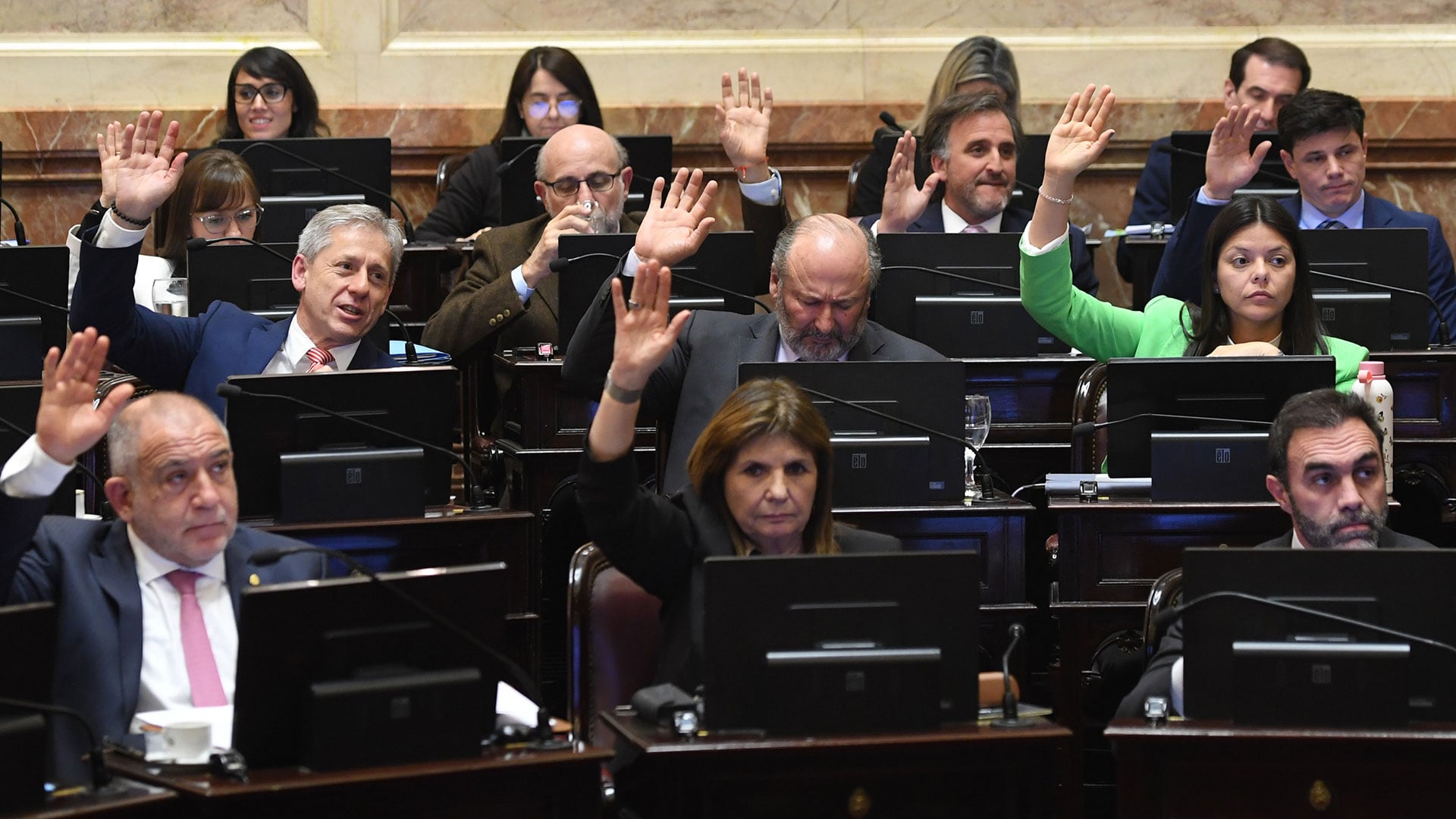 El interbloque libertario y algunos aliados en la sesión de esta tarde en la Cámara alta (Prensa Senado)