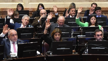 Senado: se aprobó el recorte de subsidios en zonas frías y el Gobierno sumó una victoria en el Congreso