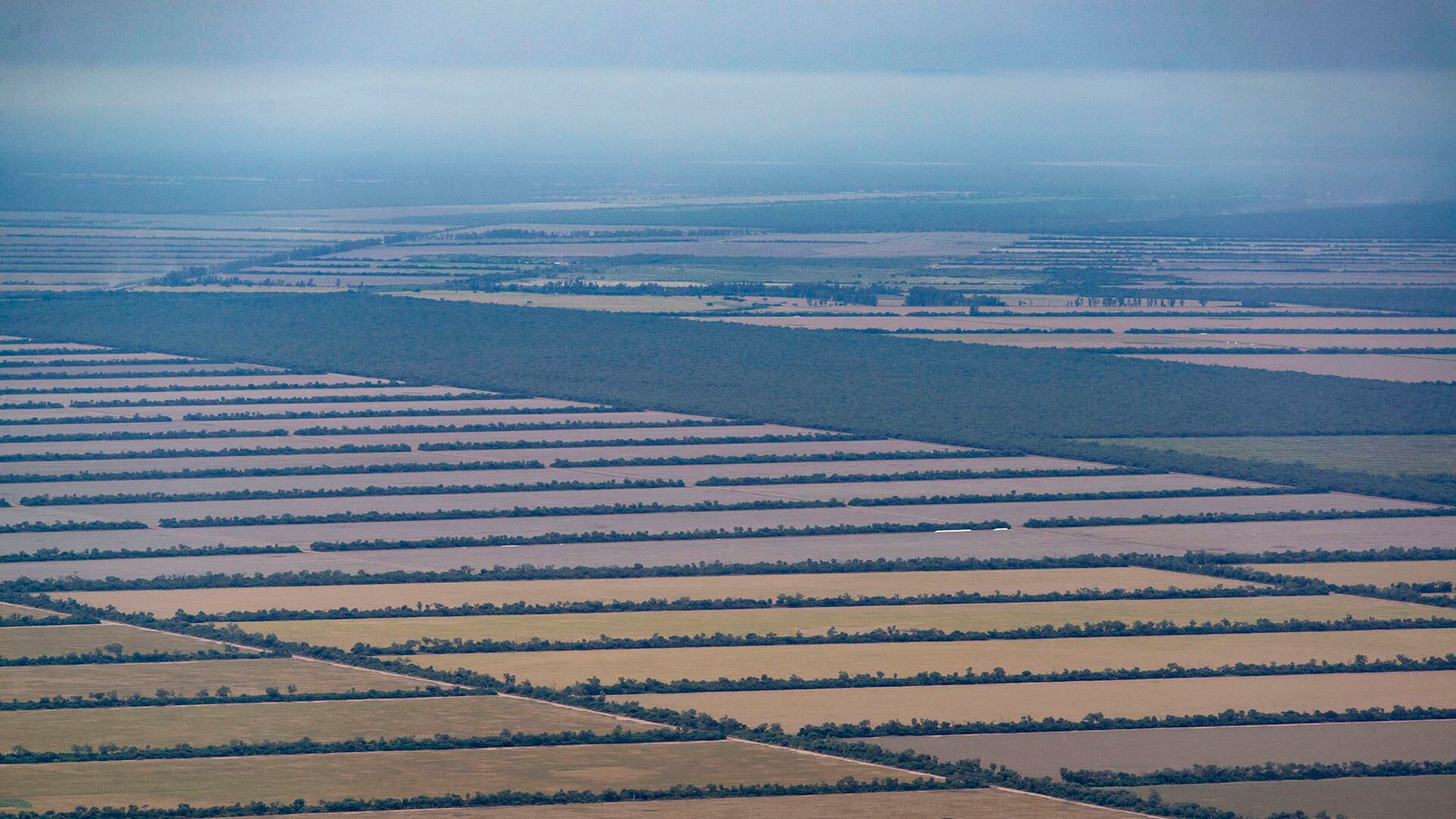 Chaco se encuentra en emergencia forestal, desde la sanción de la Ley de Bosques en 2007