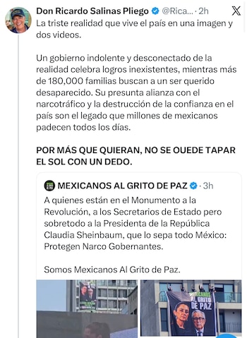 Citlalli Hernández acusó a Ricardo Salinas Pliego de influir en la opinión pública mediante comunicadores, influencers y cuentas automatizadas.