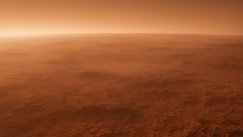 ¿Una pista sobre la vida