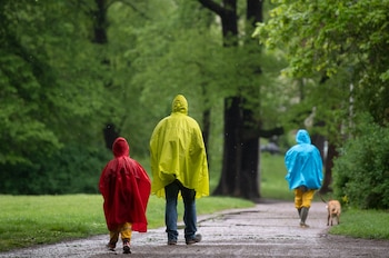 ARCHIVO - Verse afectado por