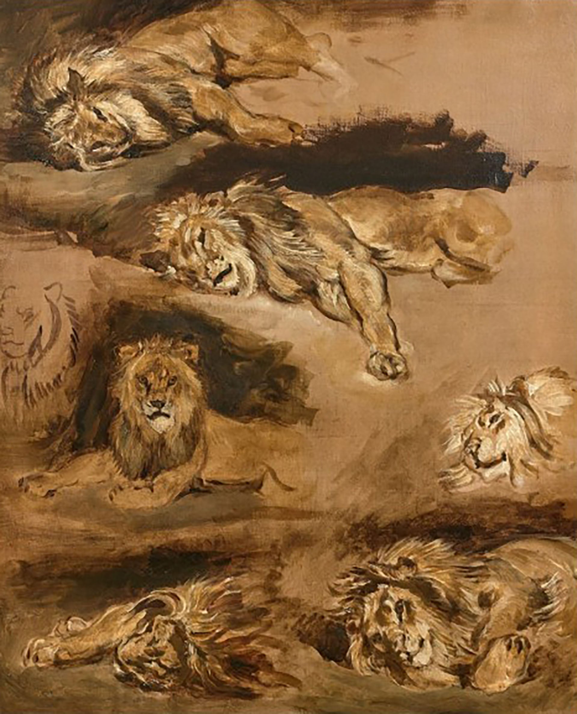 Eugène Delacroix, Estudio de los leones reclinados. Cortesía del Hôtel Drouot, París.