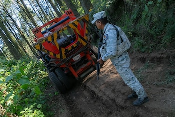 Operativo en el Bosque de