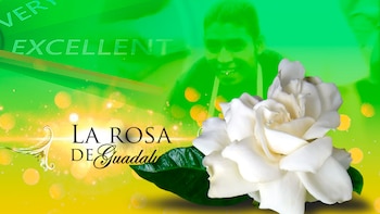 La Rosa de Guadalupe: cuál