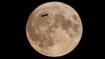 Luna de castor en Colombia: